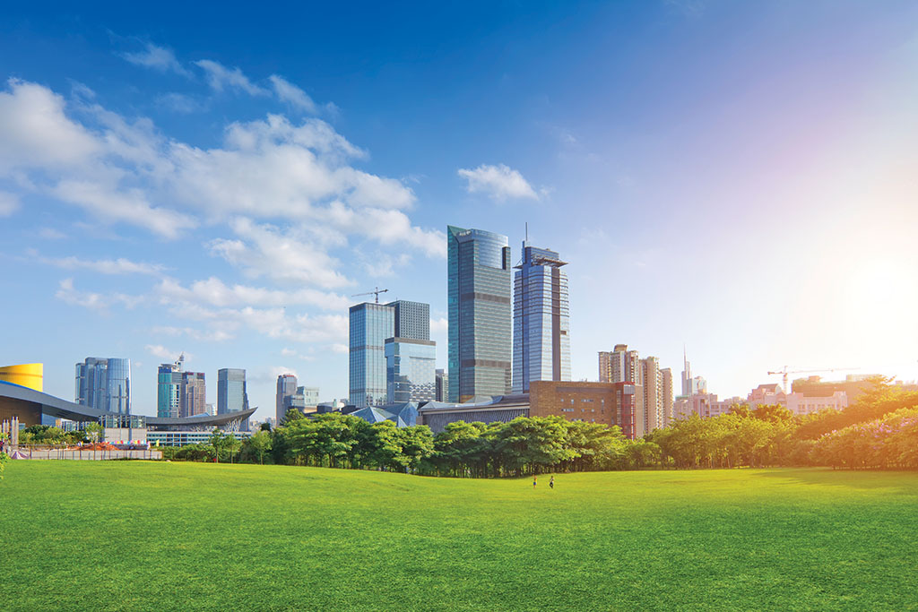 Pasieka nr 2 (iStock-181065953.jpg)