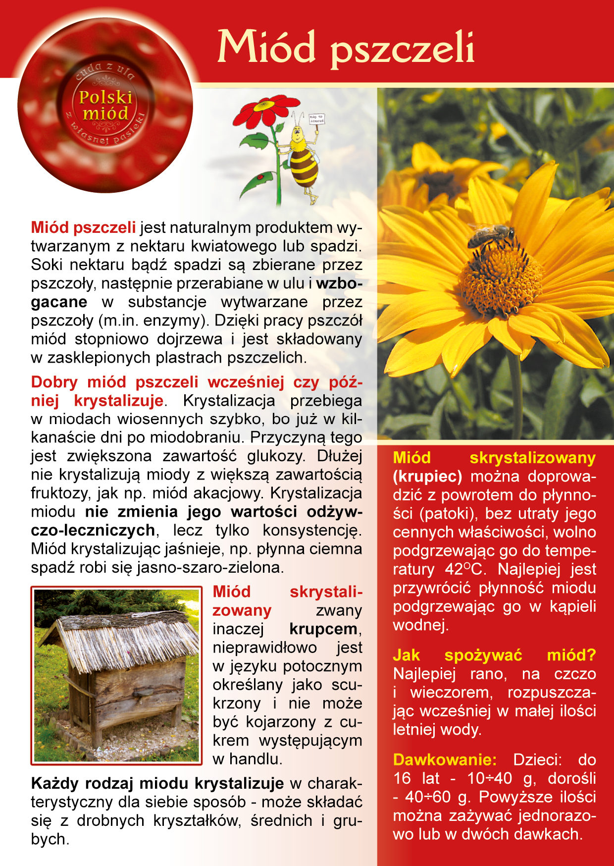 Ulotki i broszury o miodzie pomogą pozyskać i utrzymać klienta