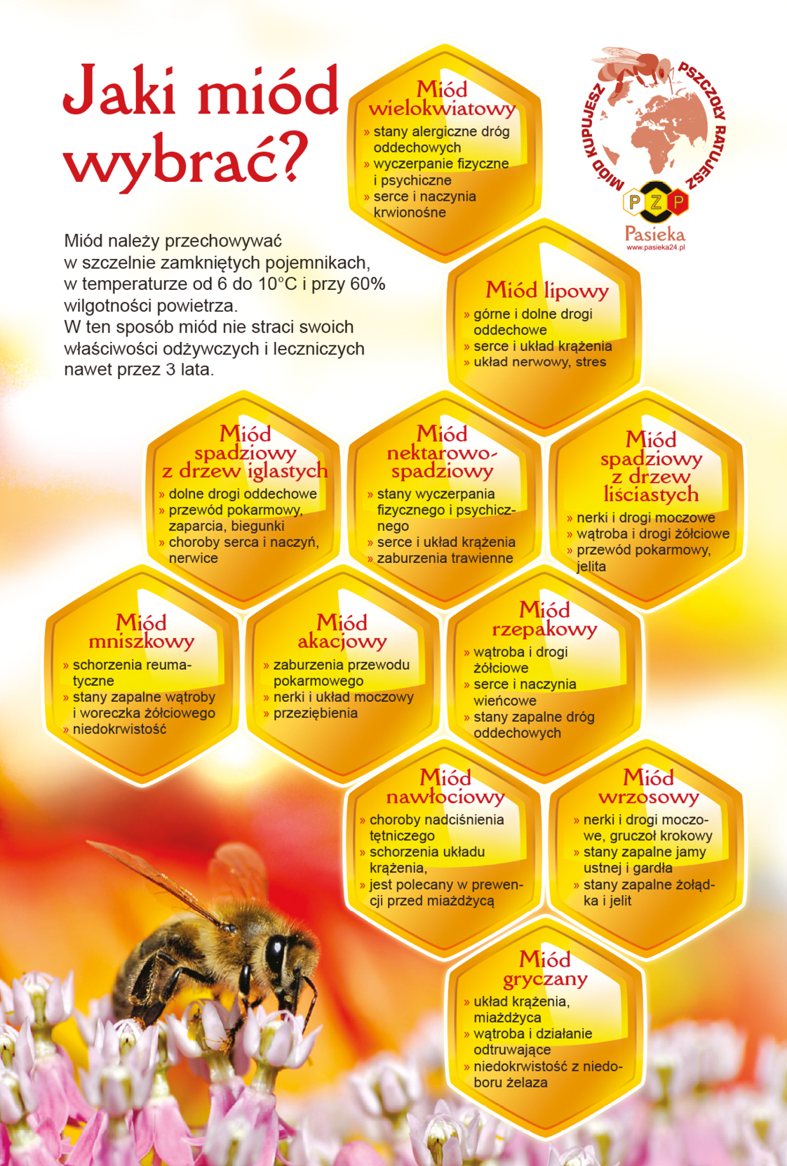 Ulotki i broszury o miodzie pomogą pozyskać i utrzymać klienta