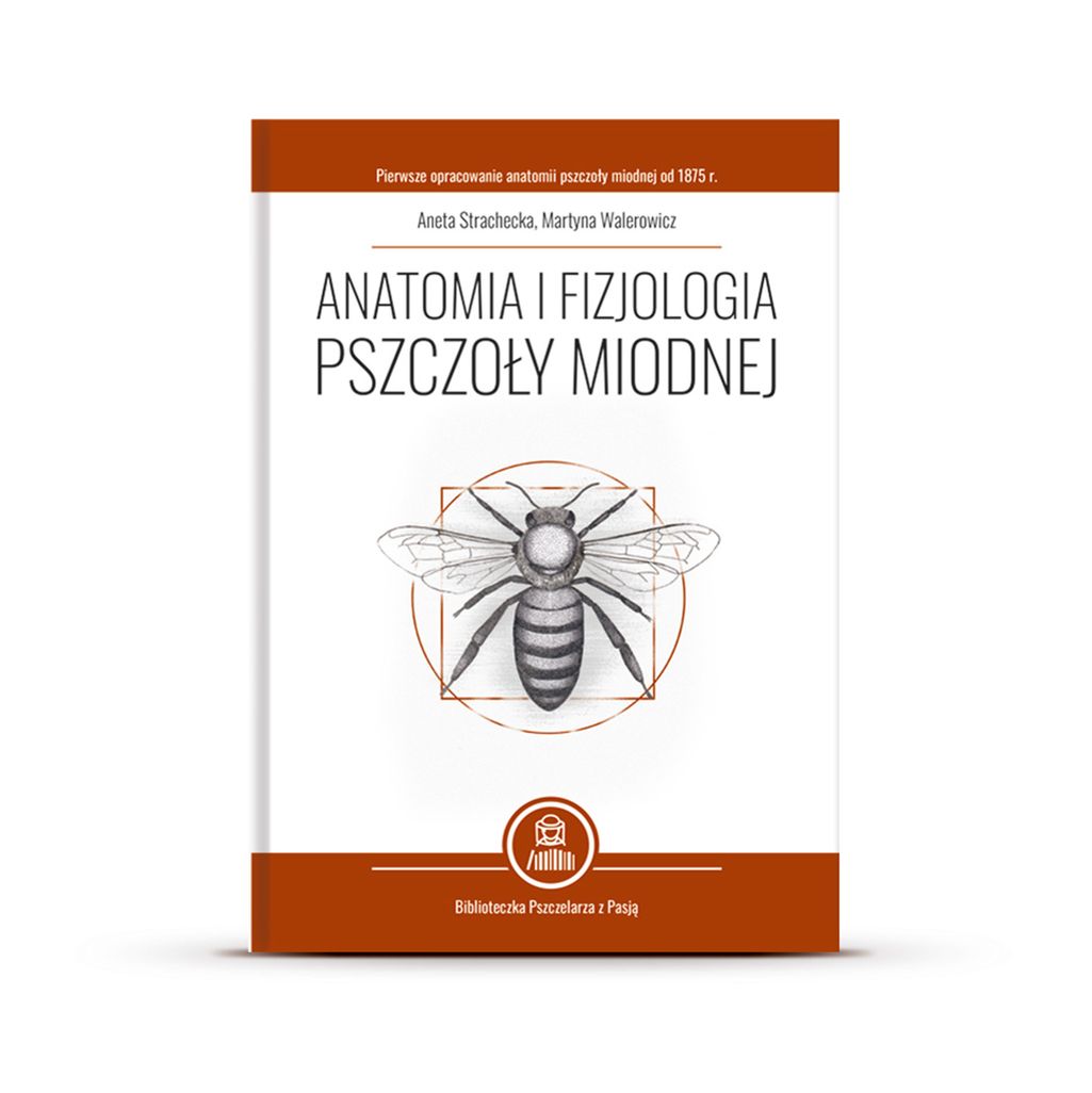 anatomia i fizjologia pszczoły miodnej