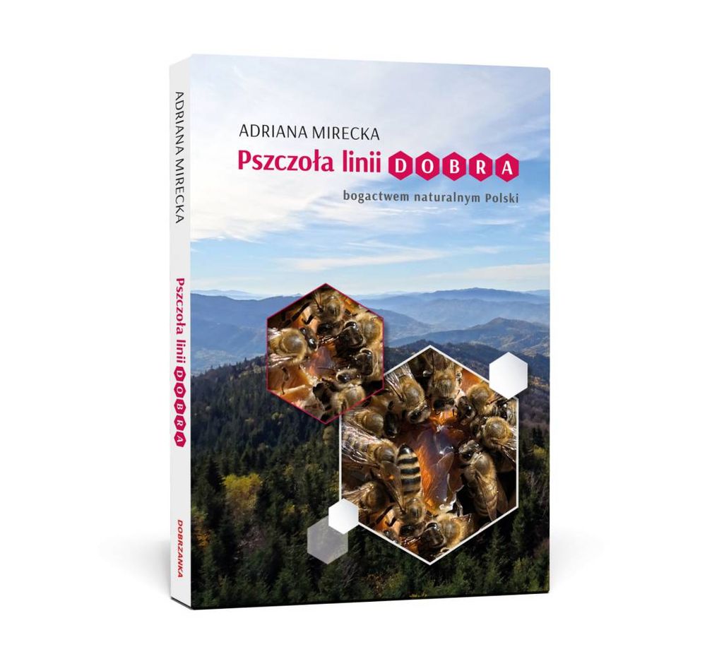 Pszczoła linii Dobra