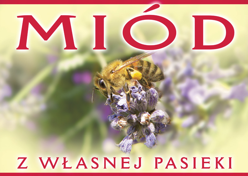 Obraz zawierający tekst, bezkręgowiec, owad, kwiat

Zawartość wygenerowana przez sztuczną inteligencję może być niepoprawna.