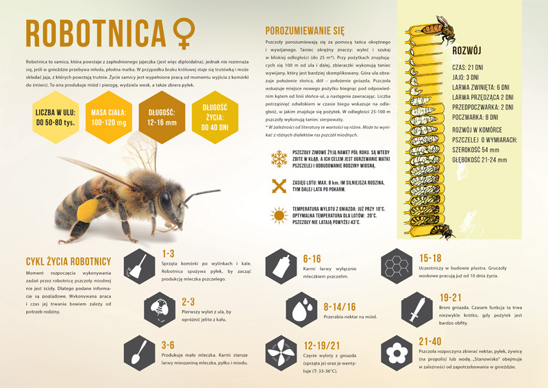 Obraz zawierający tekst, bezkręgowiec, owad, Owad z błoniastymi skrzydłami

Zawartość wygenerowana przez sztuczną inteligencję może być niepoprawna.
