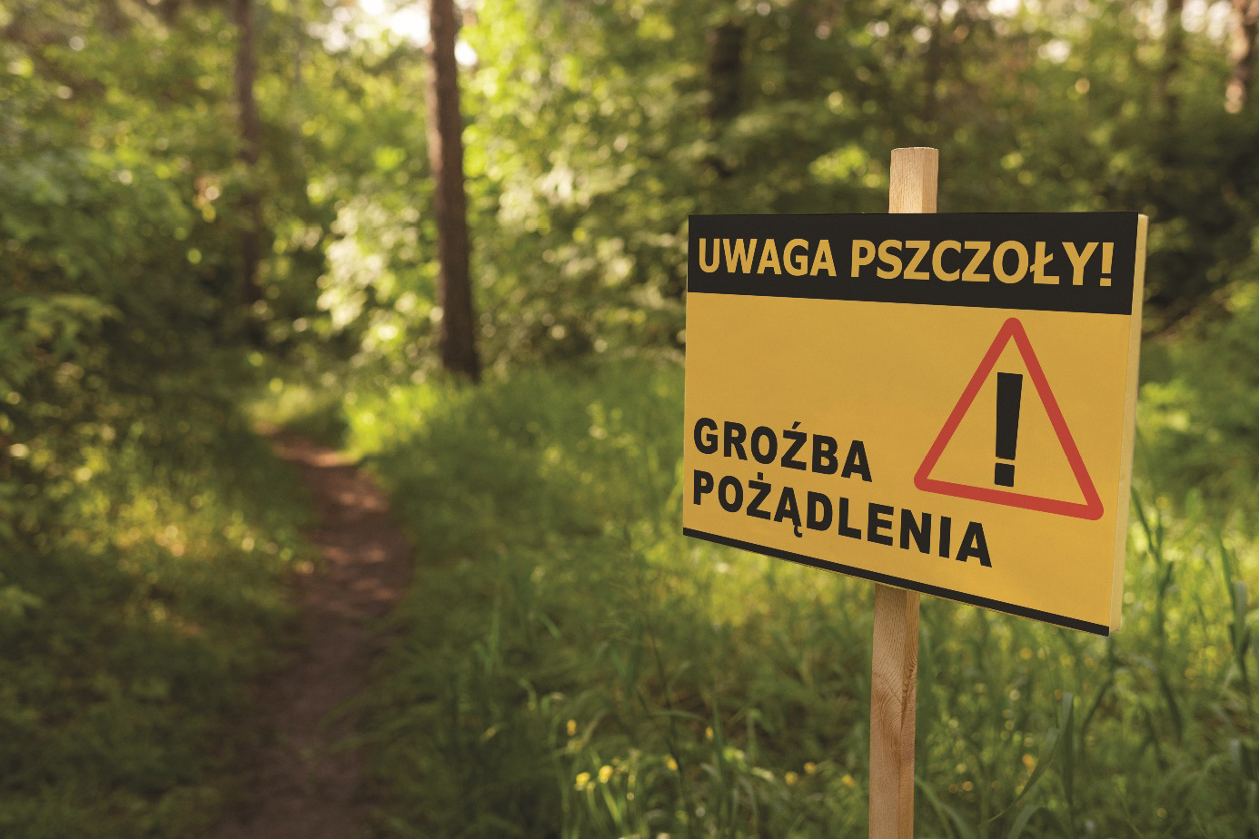 Obraz zawierający na wolnym powietrzu, drzewo, tekst, oznakowanie

Zawartość wygenerowana przez sztuczną inteligencję może być niepoprawna.