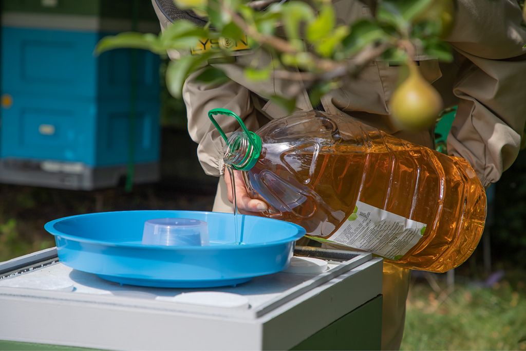 Jak przygotować pszczoły do zimowli?