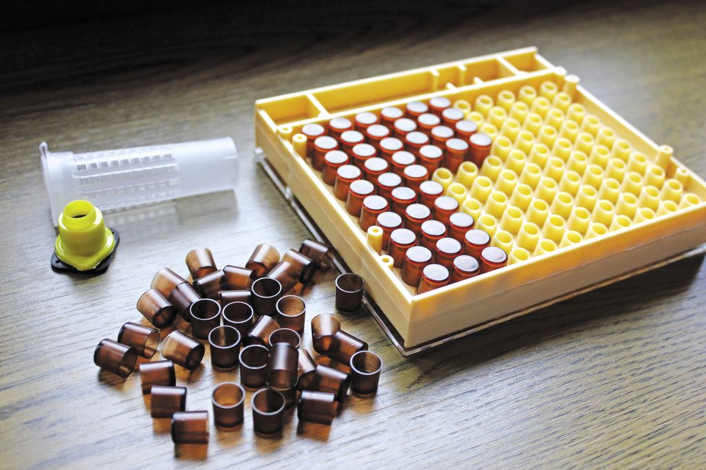 Creșterea mătcilor folosind cutia Nicot