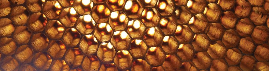 O albină căreia îi place cocaina