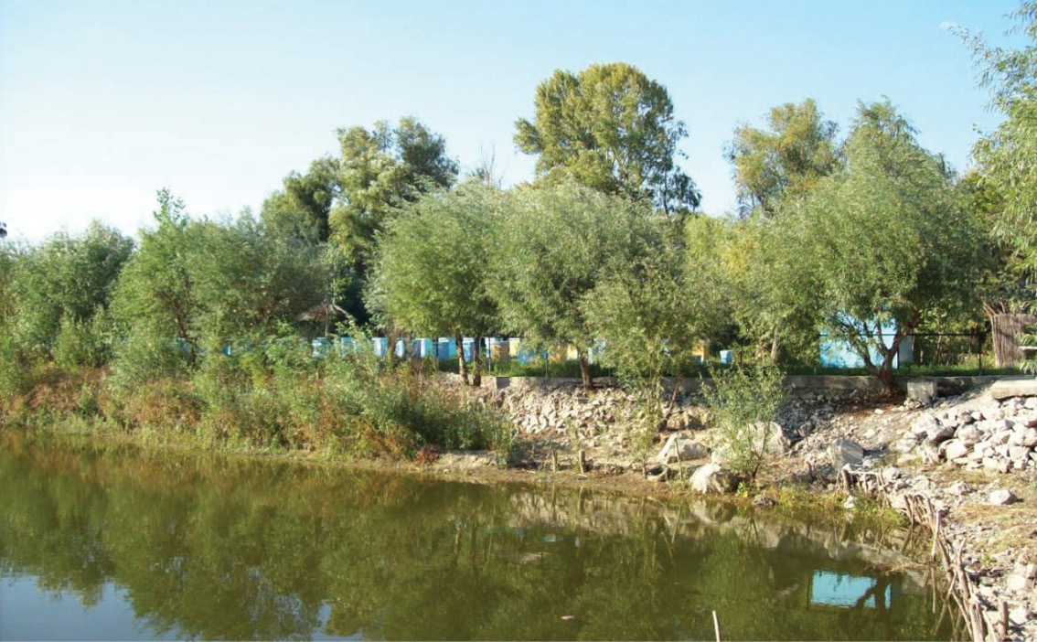 Lucrări asupra familiilor de albine în luna AUGUST