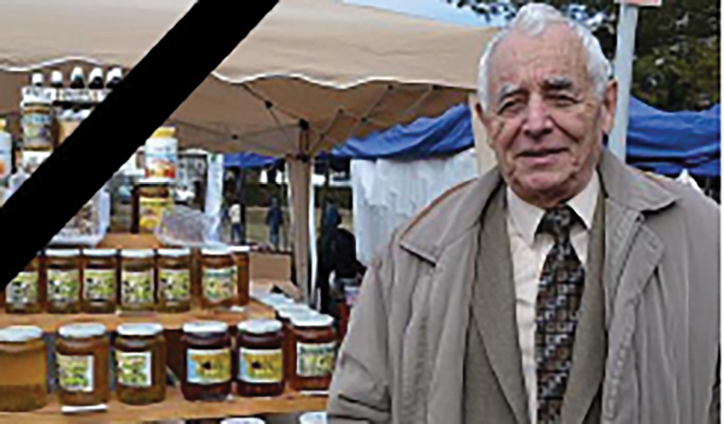 Prof. univ. dr. ing. Petre Iordache