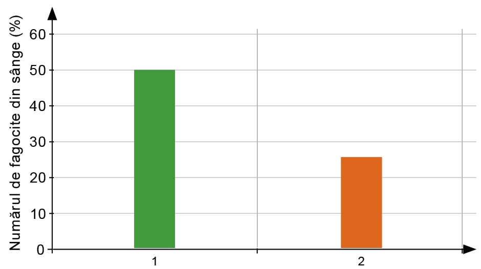 Mierea de albine și imunitatea organismului