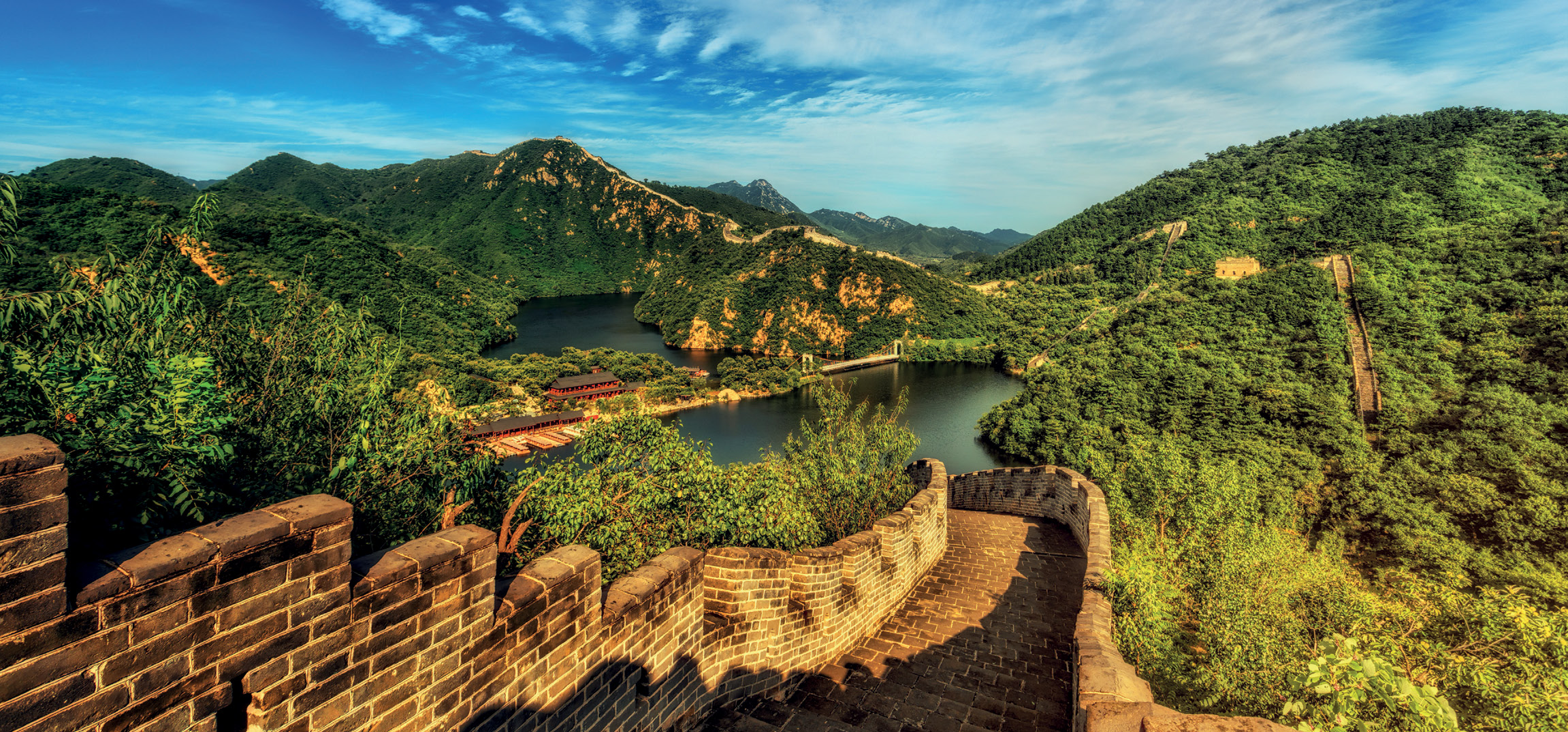 MIT?: În China, livezile sunt polenizate manual pentru că oamenii au otrăvit albinele